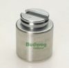 BUDWEG CALIPER 233828 Piston, brake caliper